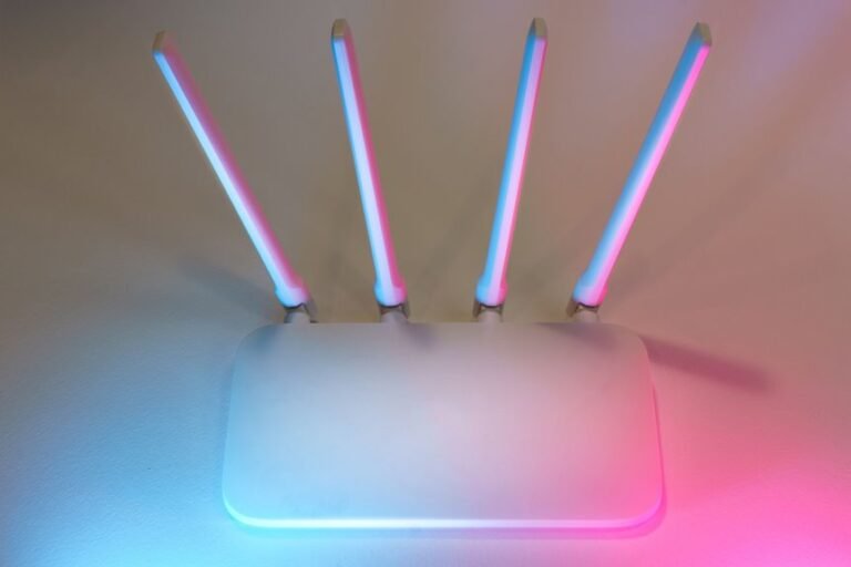 correct ip format and router accessibility